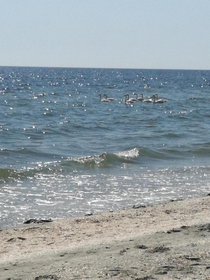 Mamaia Summerland Mrs Экстерьер фото